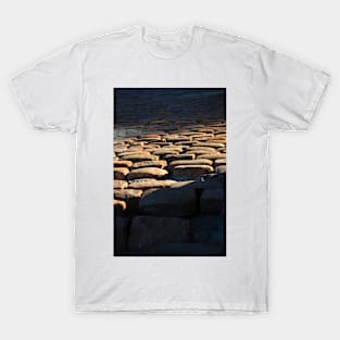 St Louis Cobbles T-Shirt